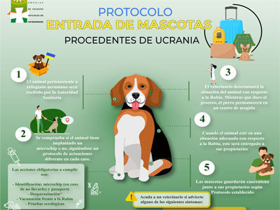 Activado el protocolo de actuacin para los animales de compaa procedentes de Ucrania