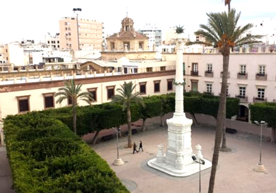 El Tribunal Superior de Justicia de Andaluca sentencia: Los rboles de la Plaza Vieja se quedan donde estn