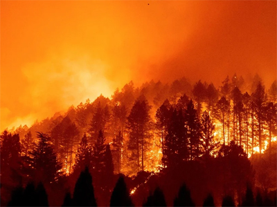 El GEM pide que la concienciación sobre los incendios forestales se convierta en compromiso para su prevención