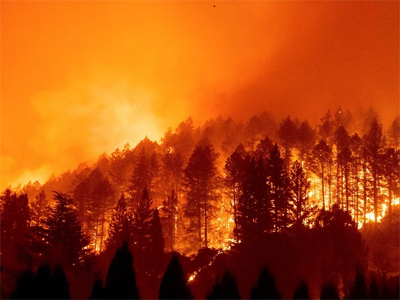 El GEM pide que la concienciacin sobre los incendios forestales se convierta en compromiso para su prevencin