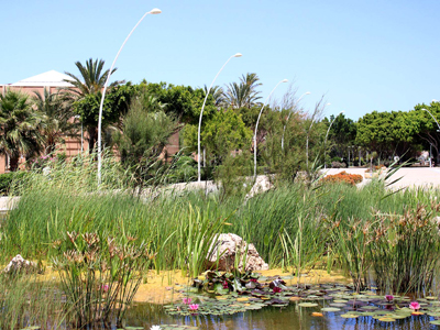 Universidad: El Jardín Botánico forma ya parte de la Asociación Ibero-Macaronésica de Jardines Botánicos