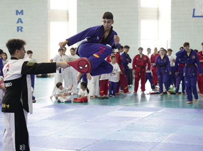 Noticia de Almera 24h: El Club Honsihul de artes marciales clausura la temporada con exmenes de pase de grado y exhibiciones 