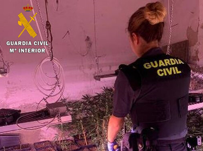 La Guardia Civil detiene a seis personas e interviene 2816 plantas de marihuana