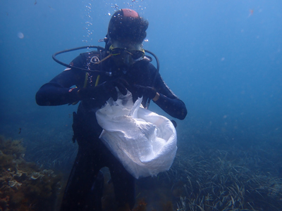 Noticia de Almera 24h: La XVI Limpieza de Fondos Marinos consigue recoger un total de 22 kilos de basura 