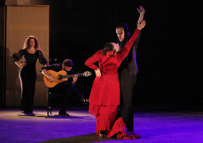 La creatividad de Alfonso Losa brilla en la Alcazaba, dentro del Festival de Flamenco y Danza de Almera