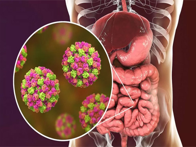 Detectan un brote de posible Norovirus muy contagioso en Mojcar del que ya hay 80 afectados