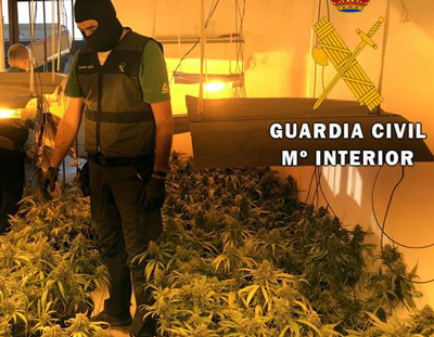 Localizan en una vivienda de Huércal de Almería una vivienda con más de 200 plantas de marihuana