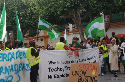 Noticia de Almería 24h: El Ayuntamiento de Níjar inicia el proceso para expulsar a 500 trabajadores del campo sin ofrecer un alojamiento alternativo