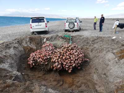 Noticia de Almera 24h: Voluntarios rescatan una red fantasma  en el Parque Natural de Cabo de Gata