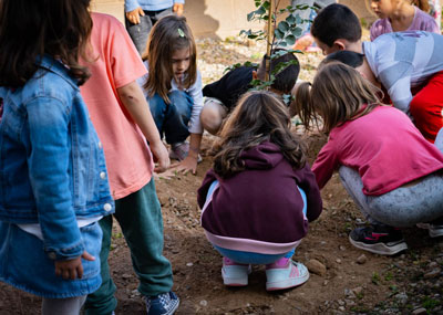 Noticia de Almería 24h: Alumnos de primaria del CEIP Torrequebrada plantan un algarrobo con motivo del Día del Árbol