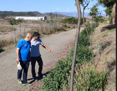 Noticia de Almera 24h: El Ayuntamiento de Hurcal-Overa planta 200 rboles en la Va Verde, parques y jardines del municipio procedentes del Plan Savia