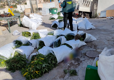 La Guardia Civil interviene en el Cerro de la Cruz y los Cortijillos Pechina por las disputas entre clanes por hacerse con el monopolio del cultivo de marihuana