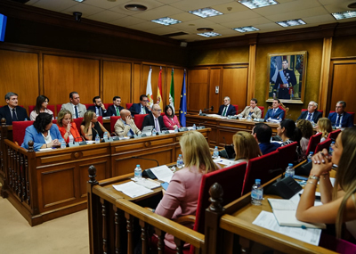 Noticia de Almera 24h: El Pleno de Diputacin aprueba 7 millones de euros para mejorar servicios en la provincia