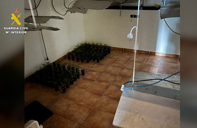La Guardia Civil desmantela en Terque, Almería, un edificio dedicado al cultivo y tráfico de drogas 