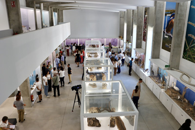 Noticia de Almera 24h: El Pabelln de Historia Natural de la Universidad de Almera, epicentro del Da Mundial del Medio Ambiente
