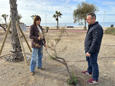 Noticia de Almera 24h: La alcaldesa de Almera lo vuelve a hacer: la ampliacin del Paseo Martimo, que se inaugur hace dos aos, ya est hecha un secarral  
