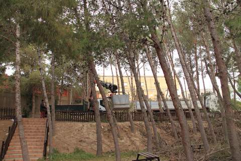 El Ayuntamiento inicia labores de tala y limpieza de la zona de Los Pinos y del mirador del municipio