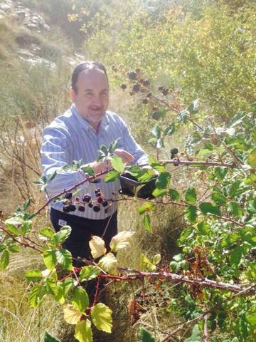 Unas 370 hectreas se dedican al cultivo de frutos minoritarios como chumbos,  higos, ciruelos y albaricoques en nuestra provincia