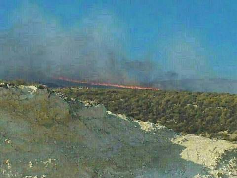 La Junta activa el nivel 1 del Plan de Emergencias por Incendios Forestales en Almera  por el fuego de Alhama