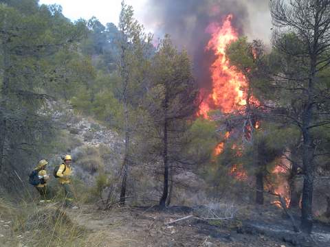 Ms de 200 especialistas del Plan INFOCA trabajan en la extincin de los incendios de Somontn y Lucainena de las Torres
