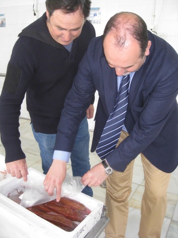 Almería incrementa un 57% el volumen de las exportaciones de pescado y molusco frescos, entre enero y mayo