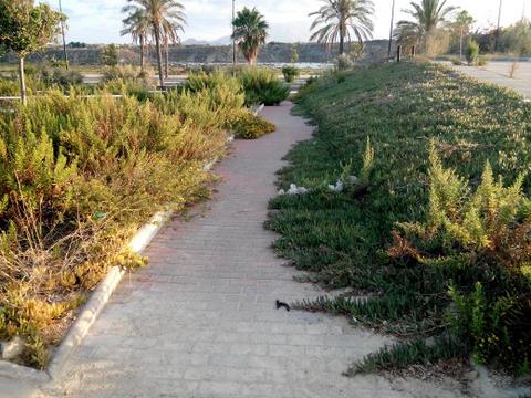 Barrio olvidado en Vera Playa