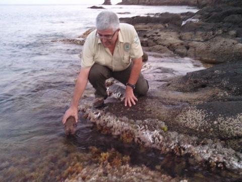 Agentes de Medio Ambiente de la Junta decomisan 35 kilos de especies marinas capturadas por furtivos en el Parque Natural Cabo de Gata-Njar