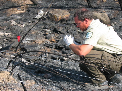 El dispositivo INFOCA cuenta con ocho brigadas de investigacin de incendios forestales, una por provincia 