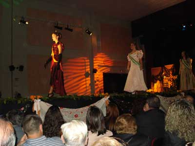 Gran desfile de vestidos de las reinas y damas de las fiestas de Gdor 1974-2014