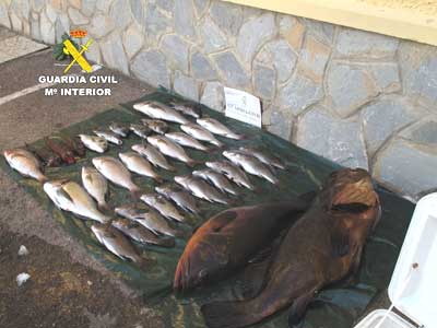 Detenidos dos furtivos en el Parque Natural Cabo de Gata-Njar con 31 piezas que acababan de capturar