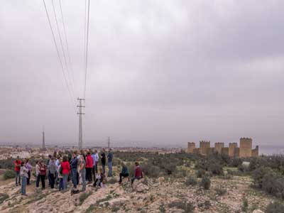 Amigos de la Alcazaba reclama una mejor conservacin de las Murallas de Almera 
