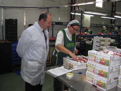 El delegado de Agricultura visita la cooperativa Casur, que esta campaa prev comercializar unos 40 millones de kilos