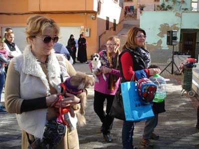 Gdor festeja San Antn con la bendicin de las mascotas en la Plaza de la Ermita