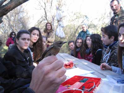 Estudiantes de Adra celebran el Da de los Humedales con el anillamiento de aves en la estacin ornitolgica de la Albufera