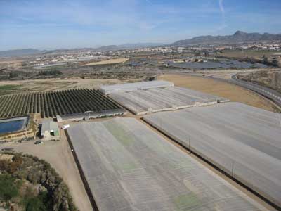 La provincia de Almera incrementa la superficie de invernaderos hasta 29.600 hectreas, un 10,5% ms que en 2010