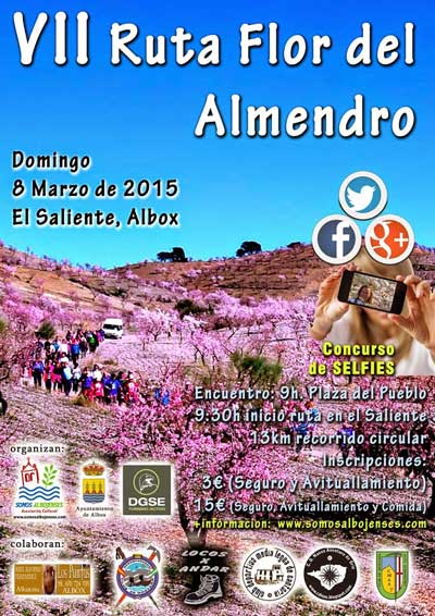 La Ruta  de la Flor de Almendro en Albox  tendr lugar el prximo 8 de Marzo