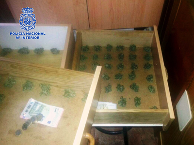 La Polica Nacional desmantela en Almera un punto de venta que suministraba marihuana a menores
