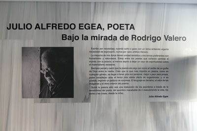 El Museo de Almera propone diversas citas que anan los libros con las exposiciones que alberga