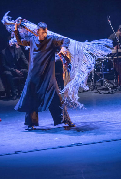 La fuerza de Roco Garrido y la creatividad de Eduardo Leal hacen de ‘De tus alas, mi raz’ un alarde de belleza flamenca