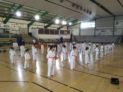 La primera jornada de los Juegos Deportivos Municipales de Taekwondo forma a 45 deportistas 