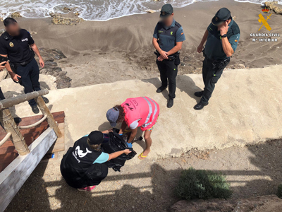 La Guardia Civil auxilia a Equinac en el varamiento de una tortuga boba, un delfín y un zifio deCuvier de seis metros de envergadura