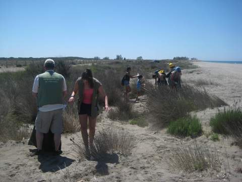 Una veintena de voluntarios participan en una jornada ambiental limpiando la Playa de Punta Entinas 