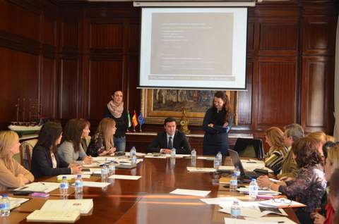 Las diputaciones andaluzas inician su trabajo conjunto en materia de igualdad para 2014