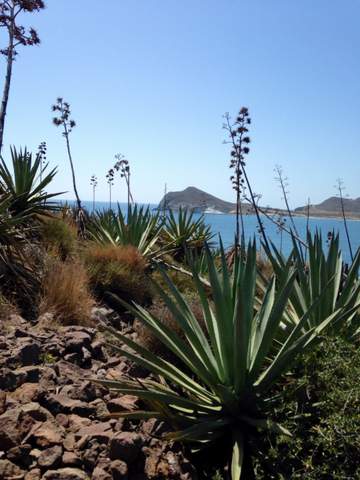 El Parque Natural de Cabo de Gata, elegida una de las siete maravillas naturales de Espaa