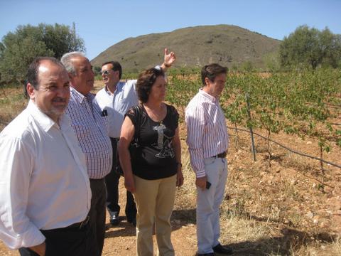 La Junta estudia las ayudas y la financiacin para reconstituir los cultivos daados por el granizo en Laujar de Andarax