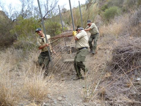 Agentes de Medio Ambiente retiran una jaula para la caza furtiva en el Parque Natural Cabo de Gata-Níjar