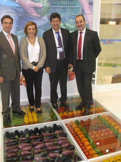 El sector hortcola de Almera factur la pasada campaa el 40,6% de las verduras frescas exportadas por Espaa
