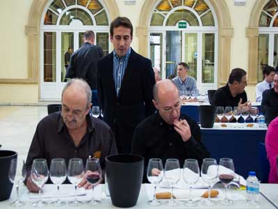 Veinte expertos eligen los mejores caldos en el II Concurso de Vinos Tintos de Diputacin