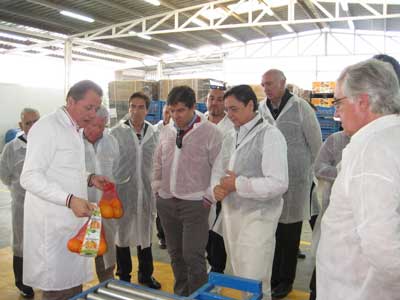 Una delegacin de productores de Palma del Ro visita la provincia para conocer el modelo agrcola de Almera