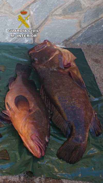 Detenidos dos furtivos en el Parque Natural Cabo de Gata-Njar con 31 piezas que acababan de capturar